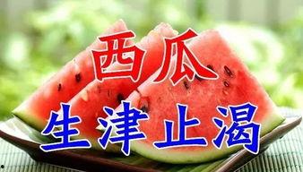 娱乐吃瓜酱6字诀,揭秘娱乐圈幕后真相