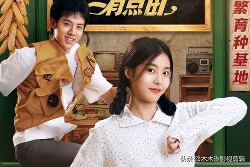 娱乐圈吃瓜短剧小说