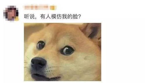 微信表情里的吃瓜表情是什么意思