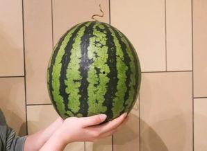 广州市吃瓜娱乐公司地址,探寻都市娱乐新地标