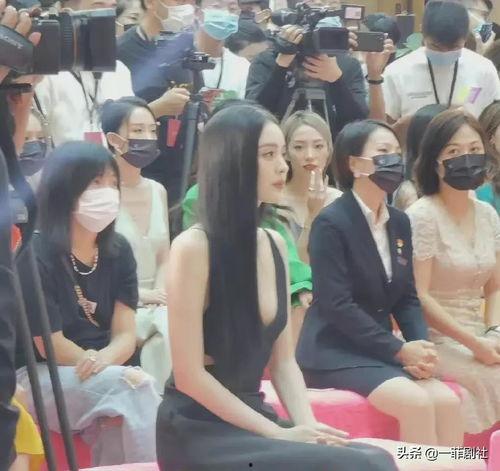 早年娱乐圈吃瓜图,那些年我们追过的明星绯闻与幕后故事