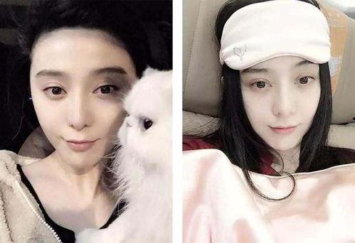 娱乐圈吃瓜女博主直播间,揭秘明星幕后故事，带你领略娱乐圈风云变幻