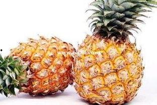 娱乐吃瓜小菠萝视频,揭秘娱乐圈幕后故事