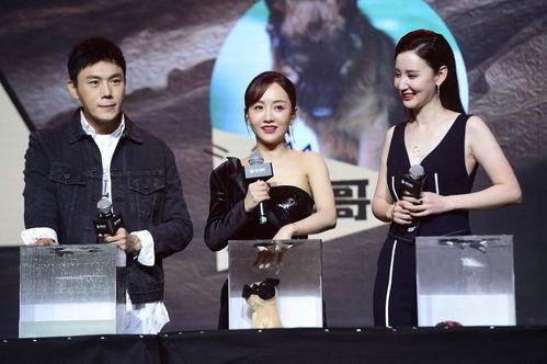 综艺娱乐圈吃瓜爆料视频,吃瓜爆料视频背后的真相大起底